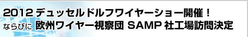 2012 �f���b�Z���h���t���C���[�V���[�J�ÁI�Ȃ�т� ���B���C���[���@�c SAMP�ЍH��K�⌈��